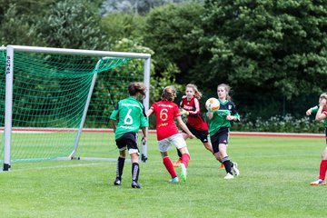 Bild 241 - C-Juniorinnen Landesmeister Finale SV Wahlstedt - TuRa Meldorf : Ergebnis: 1:4